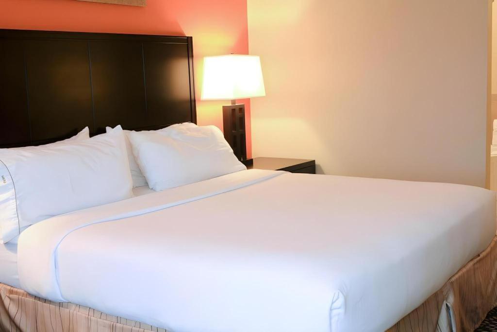 Holiday Inn Express Hotel & Suites Grand Island By Ihg Extérieur photo